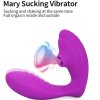 Twee in een sucking vibration vibrator