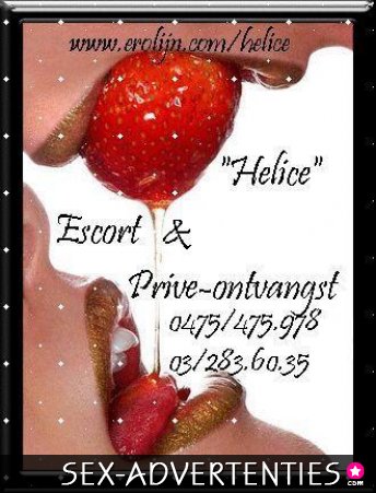 Kamers ter beschikking