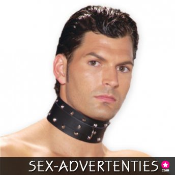 Lederen Collar met studs