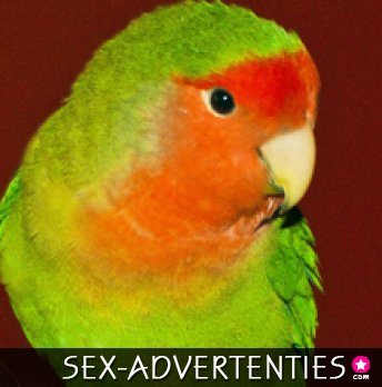 meisje of vrouw gevraagd