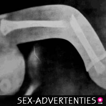 snel seks zonder gezeur!